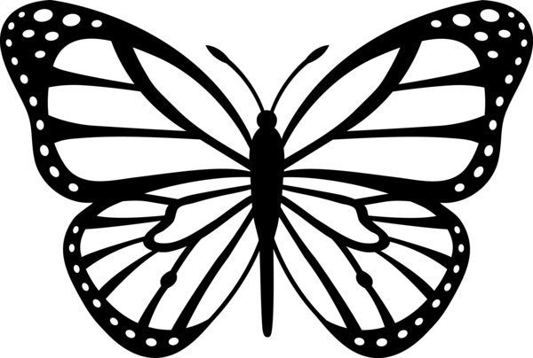 Бабочка с тонкими крыльями