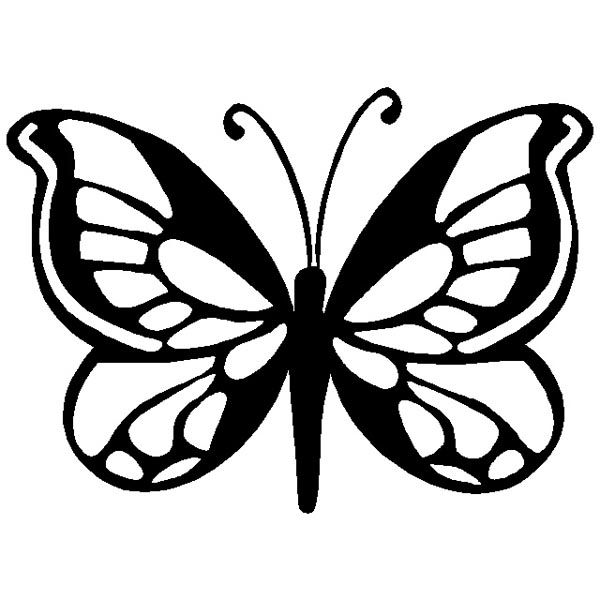 Бабочка с узорчатыми крыльями
