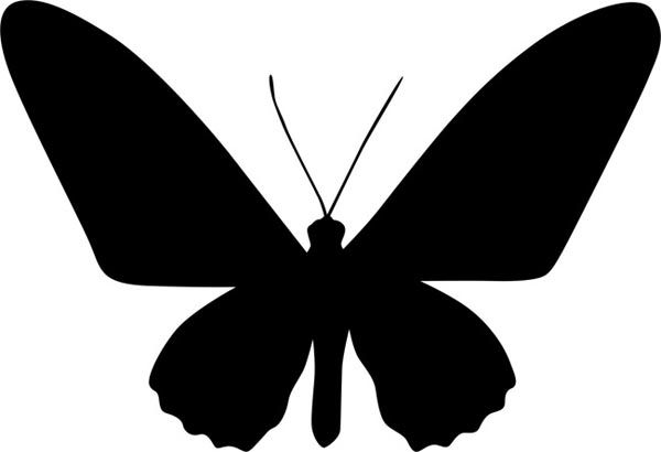 Классическая бабочка