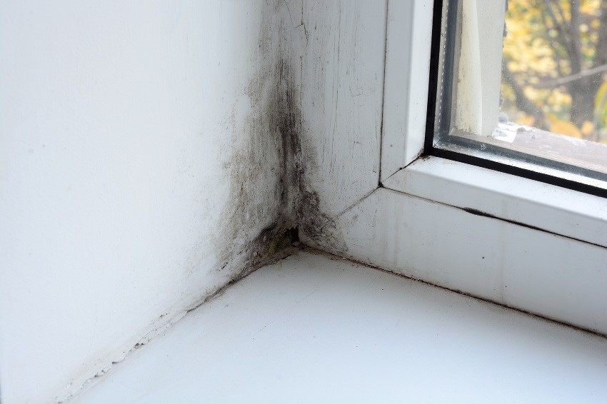 Конденсат на окнах внутри квартиры — почему образуется и как от него избавиться